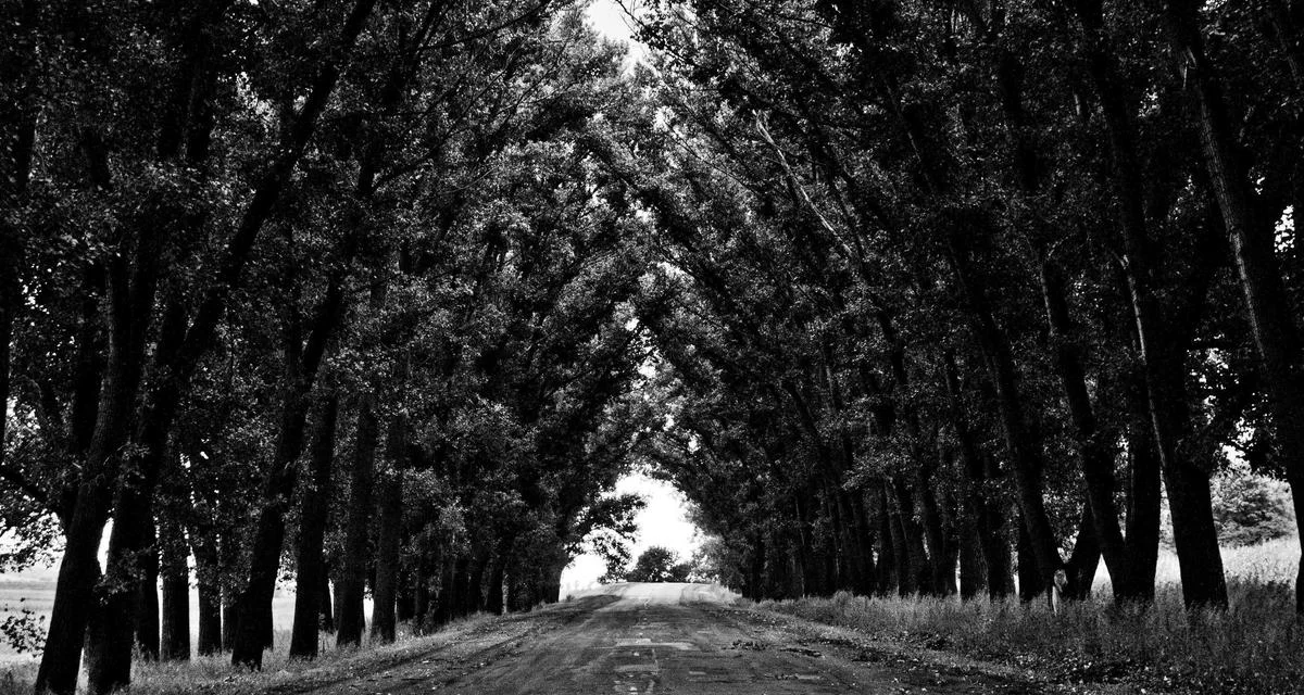 MFW ostrzega: premia terminowa obligacji USA to bomba zegarowa dla globalnego długu