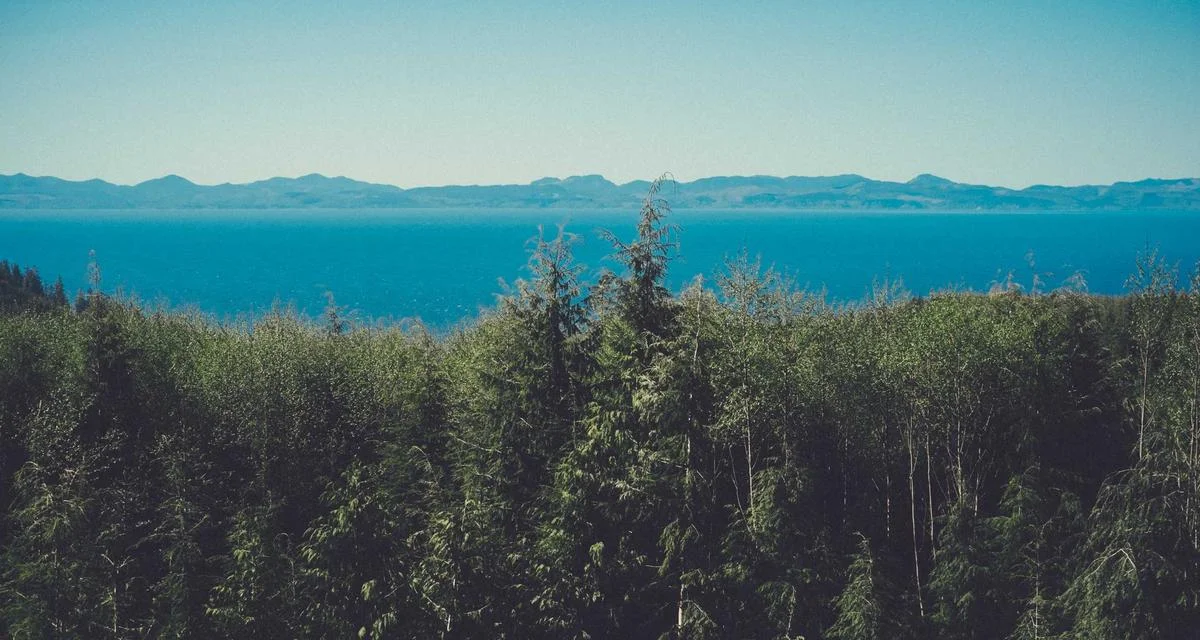 Stopy spadają - czy warto zamienić stałe oprocentowanie na zmienne w 2026?